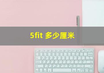 5fit 多少厘米